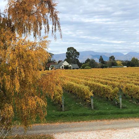 Vineyard Cottage In Blenheim On The Golden Mile Екстер'єр фото