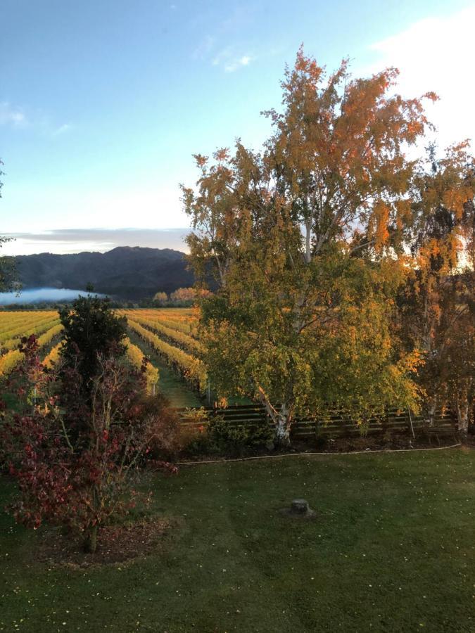 Vineyard Cottage In Blenheim On The Golden Mile Екстер'єр фото