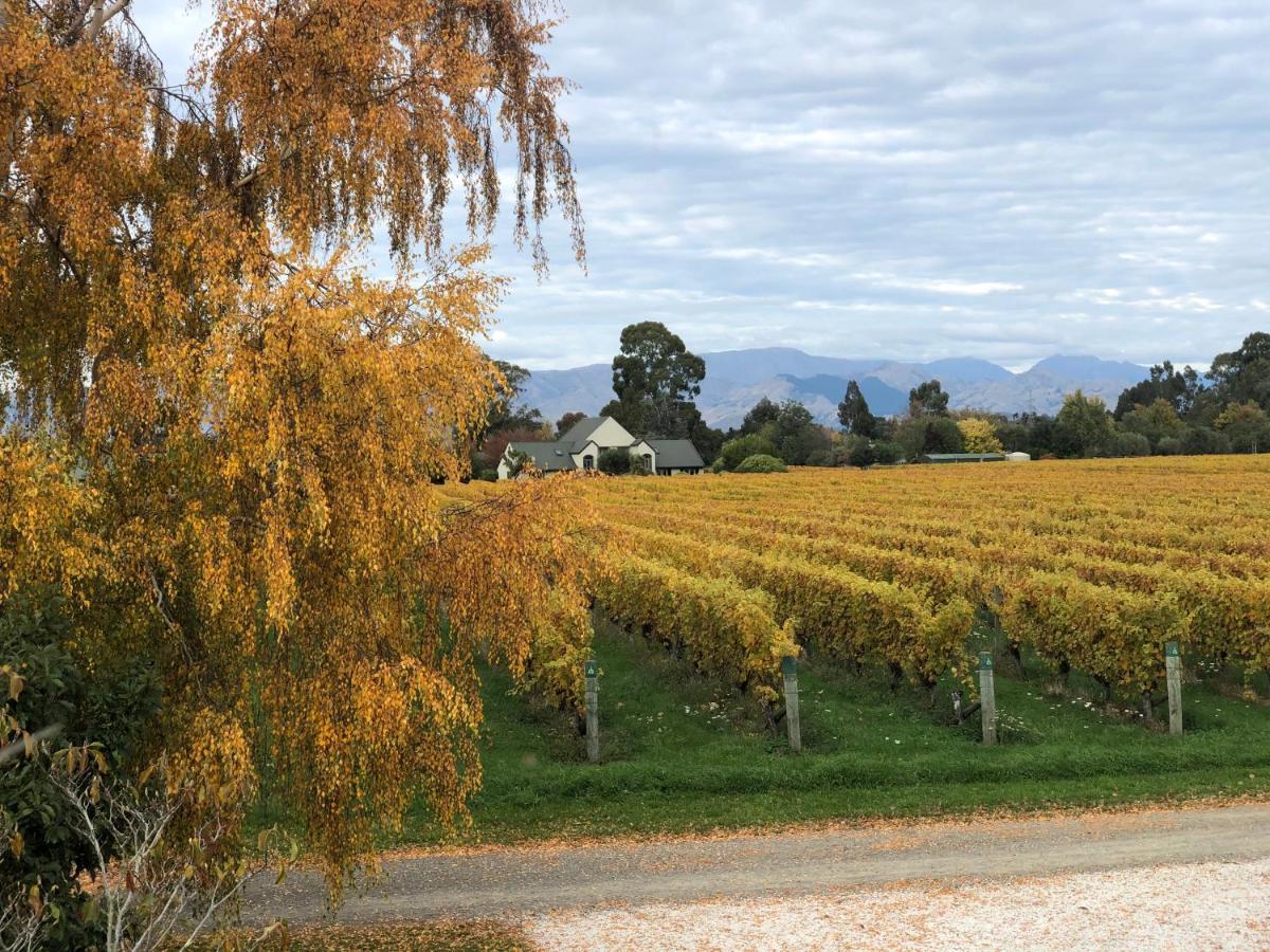 Vineyard Cottage In Blenheim On The Golden Mile Екстер'єр фото